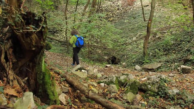 Escursionista  nel bosco