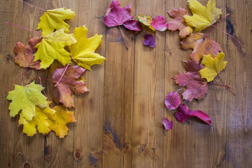 Autumn leaves on wooden floor