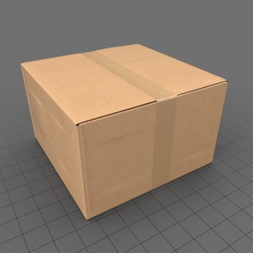 Cardboard Box 4