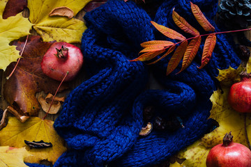 Pomegarante, blue scarf and autumn leaves
