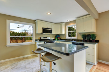 Open floor plan white kitchen room with island and dining area