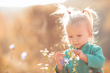 Little girl with blonde ponytails plays with flowers in the ligh