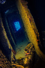 SS Thistlegorm