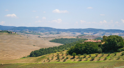 Tuscan countryside, Val d'Orcia, Siena, Italy