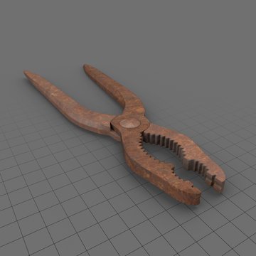Pliers 1