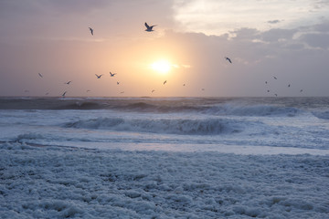 Cold sunset at the beach with sea foam and birds,Thisted,Denmark © naiveangelde
