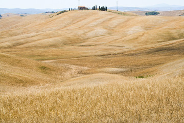 Landscape of Tuscan countryside, Tuscany, Italy