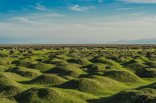 Wetlands in the Kizilirmak delta Black Sea Province of Turkey
