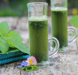 smoothie mit giersch,