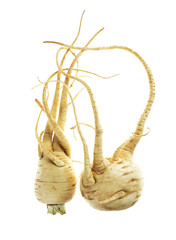 Fresh parsnips isolated on white background