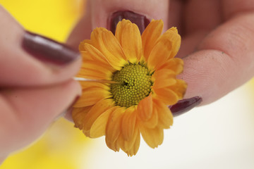 work in progress: how to fix flowers to a decoration