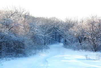 Fototapeta na wymiar country road in the snow winter forest