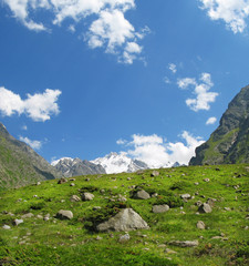 high mountain meadow in Caucasus Elbrus