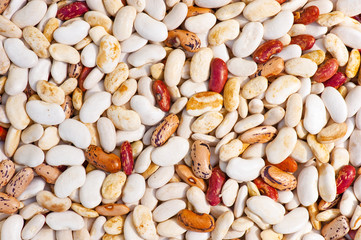 multicolored beans organic background