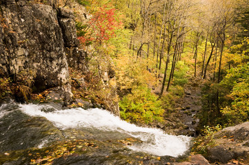 fall forest waterfall stream Elomovsky in russian Primorye