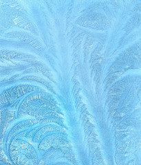 tree like fractal blue ice winter decoration on a window natural