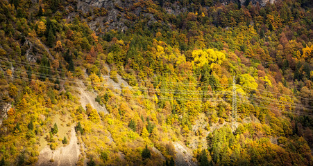 Elettrodotto in montagna su vegetazione con colori autunnali