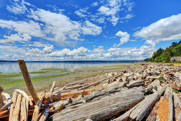 Fototapeta na wymiar Driftwood logs litter the shoreline in Normandy Park, Washington