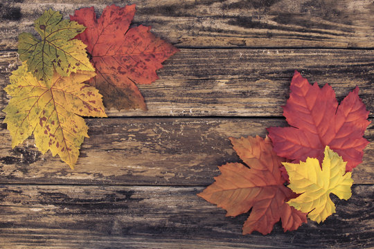Image of Autumn Framed Background
