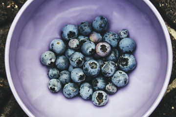 Image of a Bowl of Blueberries

