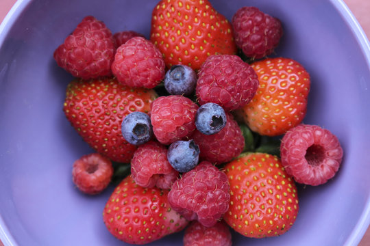 Image of a Bowl of Berries
