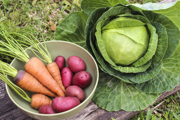 Image of Harvested Kitchen Garden Vegetables
