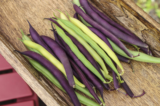Image of Mixed String Beans
