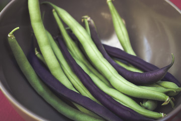 Image of Harvested String Beans
