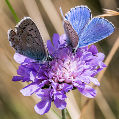 Frühstück für zwei