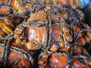 steaming hairy crabs, chinese cuisine in Lijiang, China
