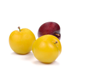 Yellow,Red Ripe plum on white background.