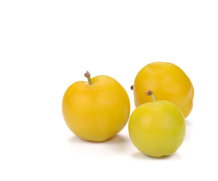 Yellow Ripe plum on white background.