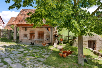 Fototapete bei efototapeten.de bestellen   