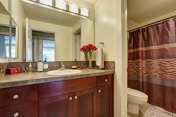 Brown bathroom interior with a toilet, shower and vanity