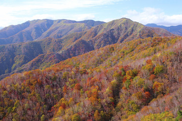 奥日光　半月峠から見た紅葉