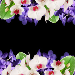 Beautiful floral background with white and blue orchid 