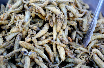 Delicious crispy fried capelin small fish in big bowl street fast food festivale