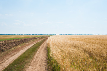 Empty countryside road