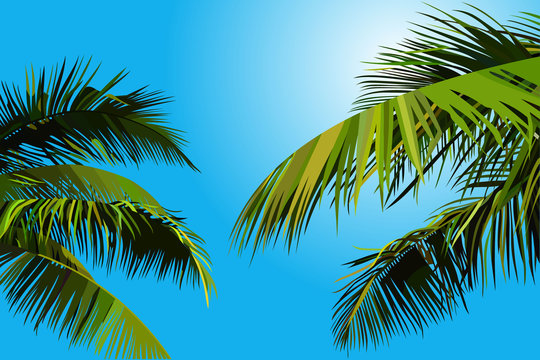 Painted Blue Sky With Palm Leaves