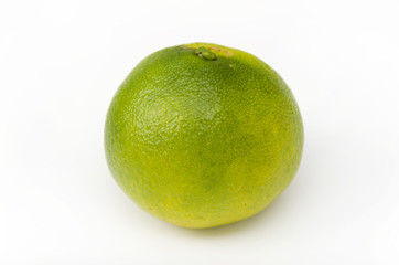 青切り温州みかん