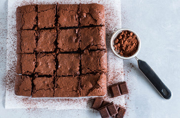 Homemade brownies with dark chocolate and cocoa. Overhead shot.