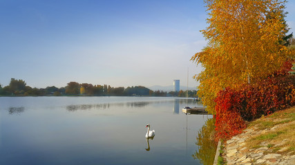 Herbst an der Alten Donau in Wien