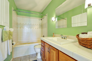 Light green bathroom interior with white tile trim
