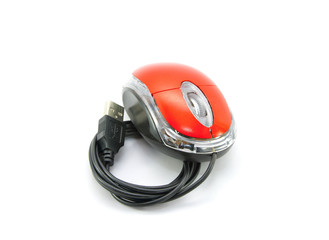 Computer mouse on white background