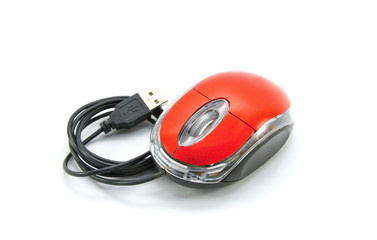 Computer mouse on white background