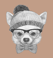 Portrait of Chihuahua with glasses, hat and bow tie. Hand drawn illustration.