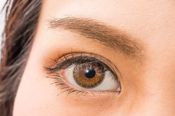 Fototapeta premium カラコンの女性の片目 woman of colored contact lenses
