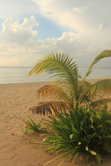 Obraz na płótnie Canvas Seven mile beach. Jamaica, Negril