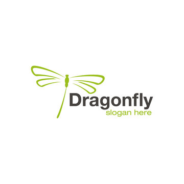 Dragonfly logo design vector