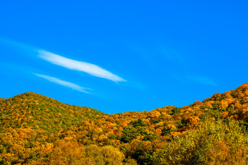 Autumn in mountains